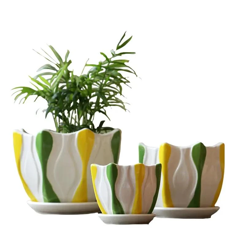 绿植小盆栽（一物一拍）