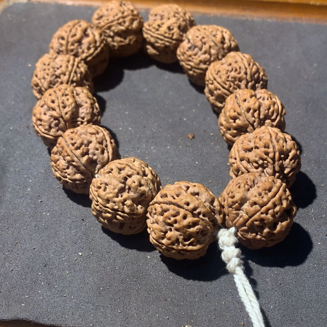 21大➕原皮原色梅花双龙大金刚