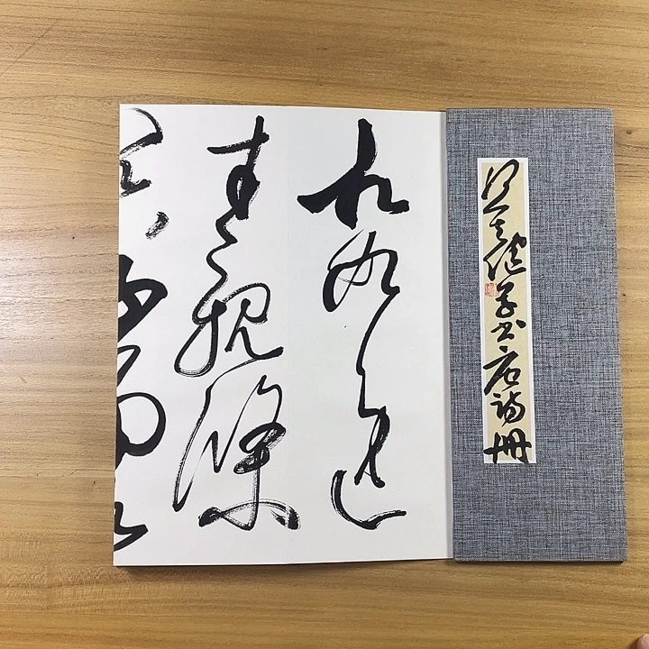 书法中书协会员作品