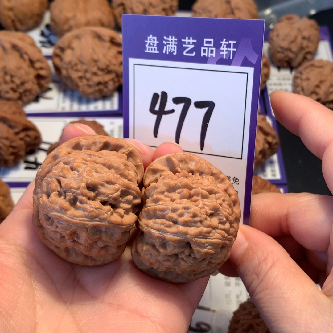 核桃477白狮子4.3全品