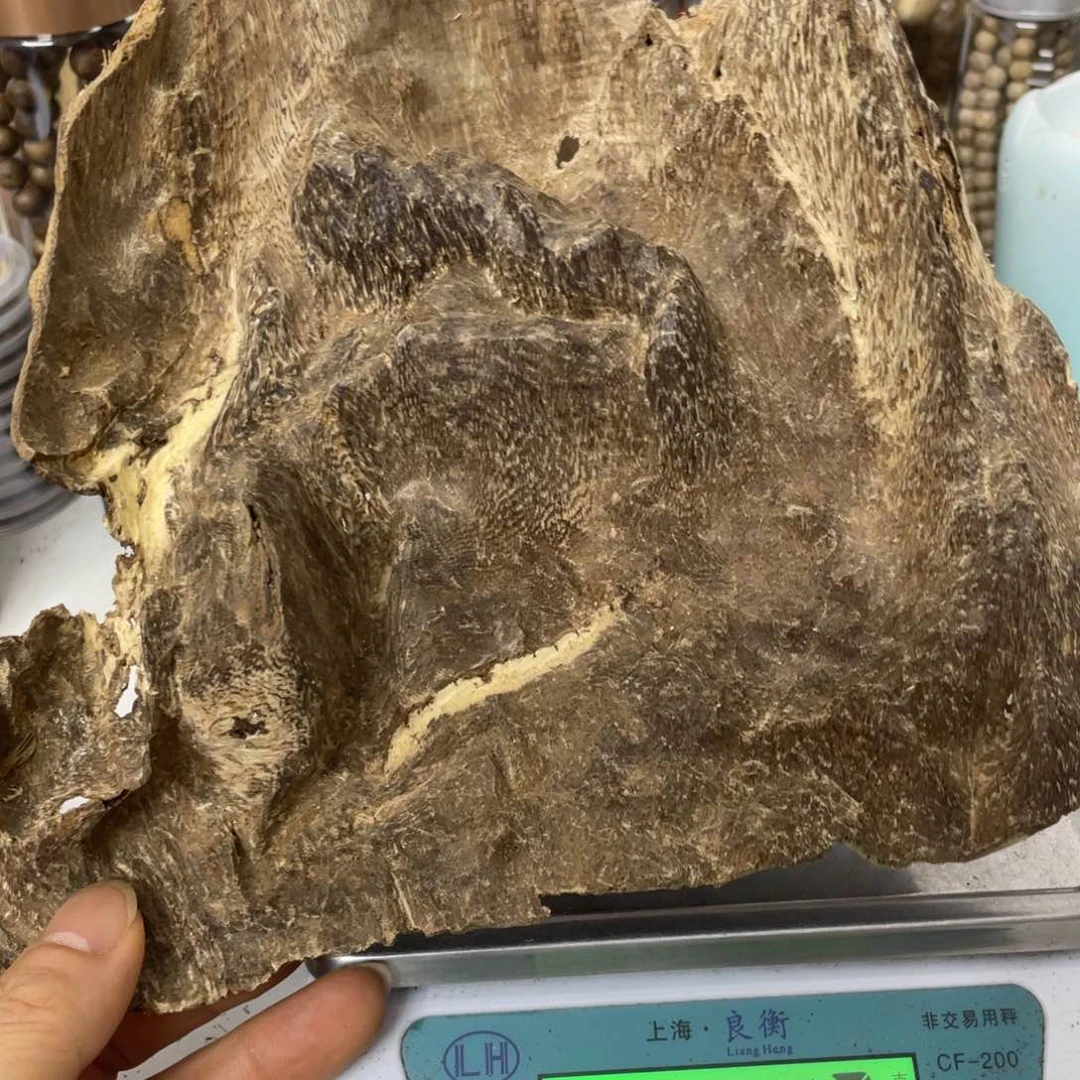 摆件沉香海南沉香块料51克