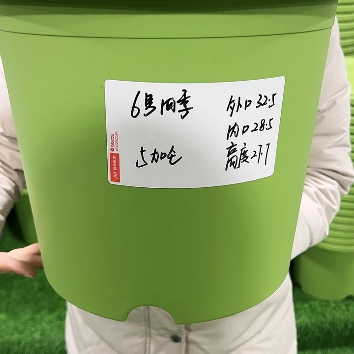 特价6号四季口32高27.7果绿无托4个