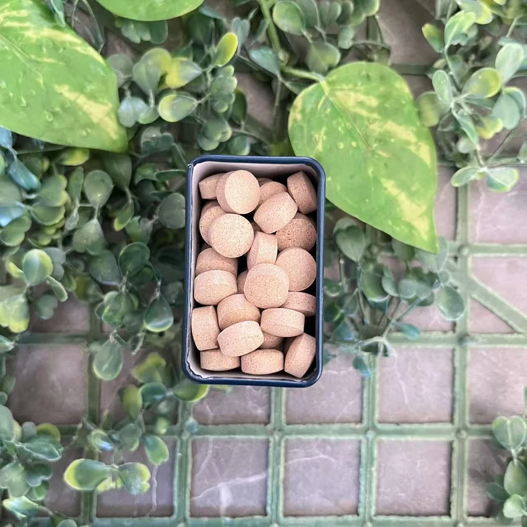 雨腾古茶  无字版白Z珠“ PCW ”YW片100粒/盒（12月22）