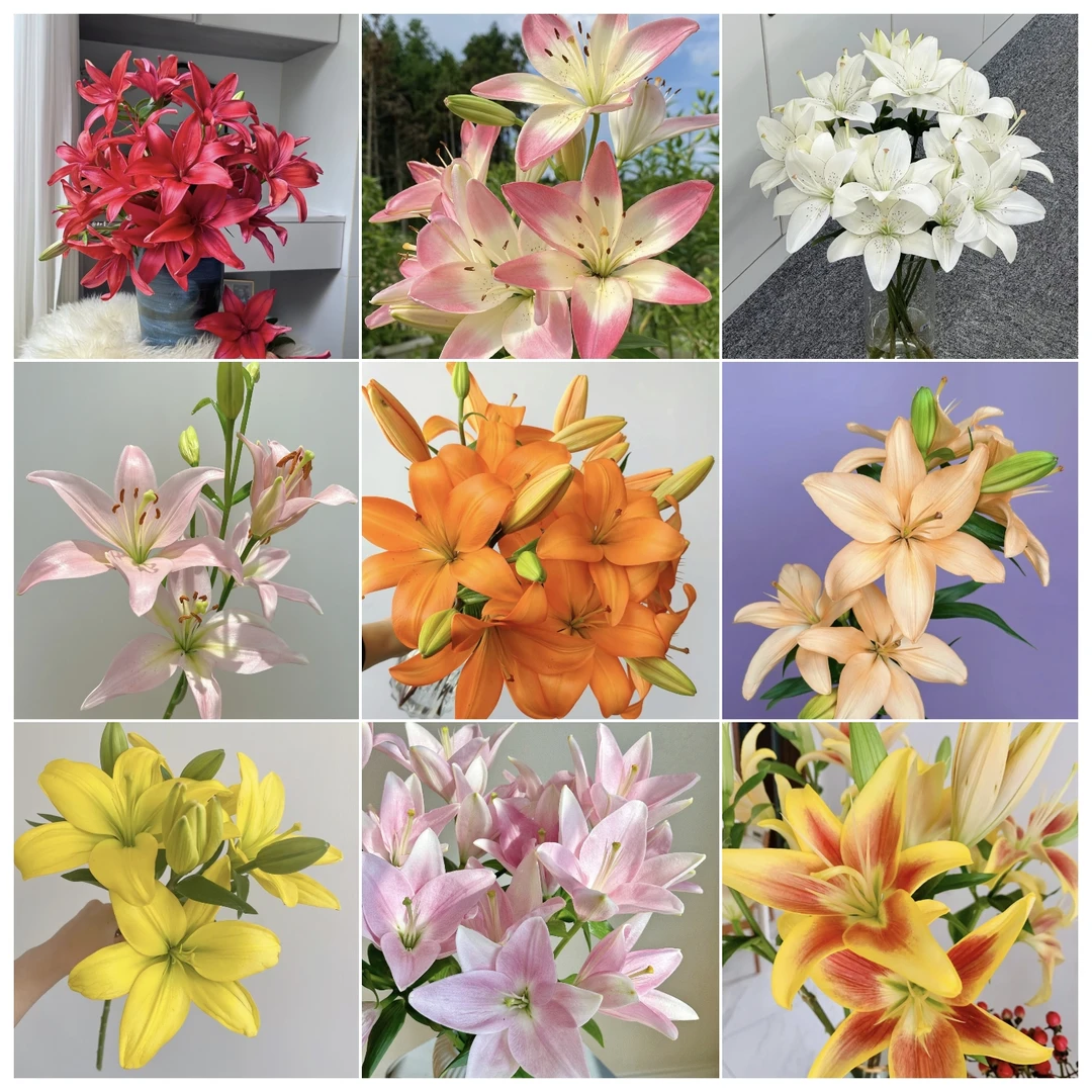 鲜花 10支2头亚百合（无香型） 鲜花批发不售后介意勿拍