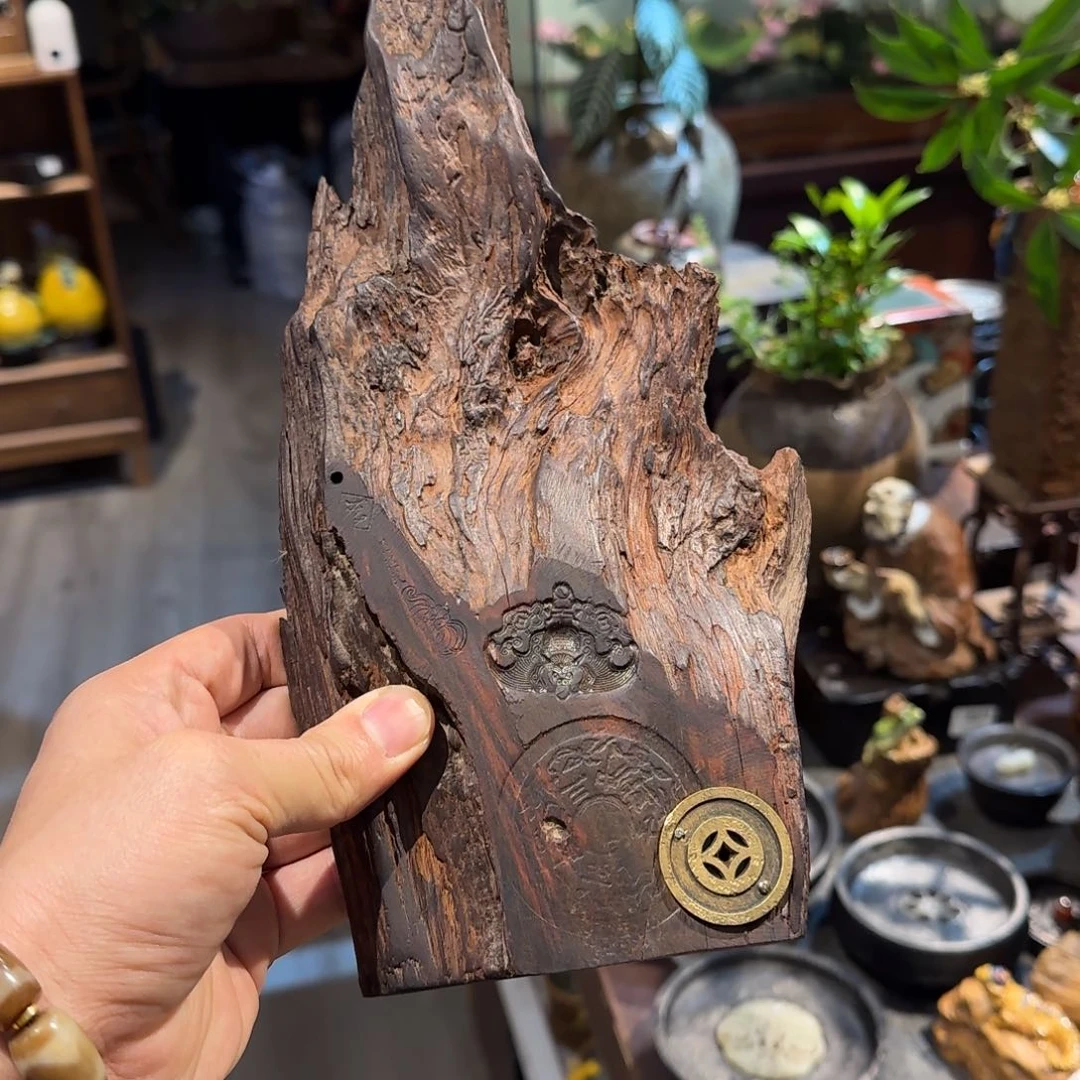 摆件黎*刚才恭喜恭喜恭喜海星海星海星海星好