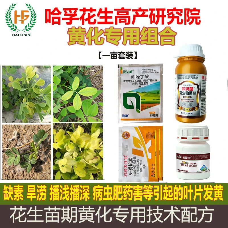 哈孚花生黄叶黄化组合水溶叶面肥提苗促根氨基酸