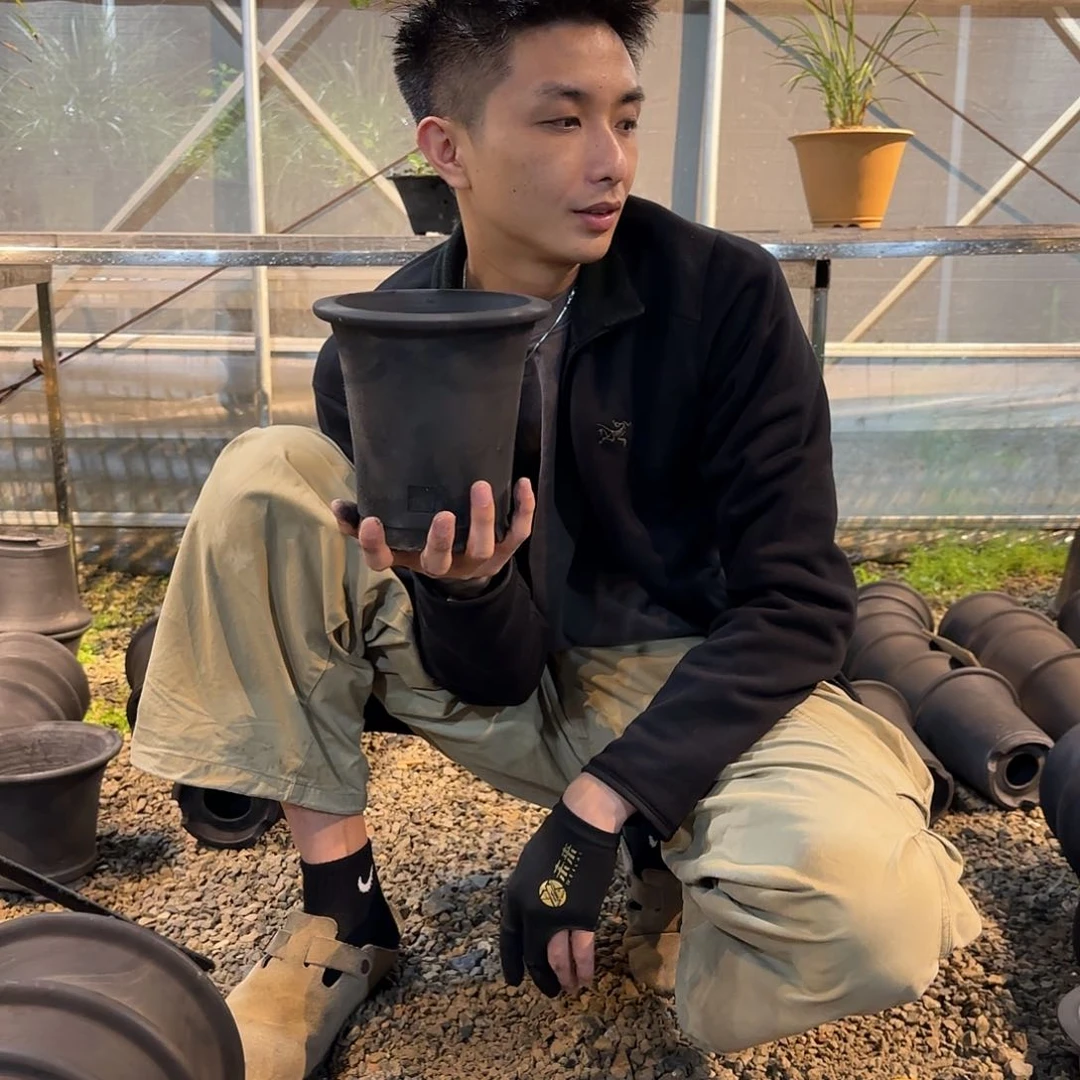 无花朵绿云盆手工