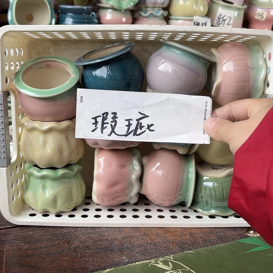 棒***）量货/5口高深浅搭配发12瑕疵