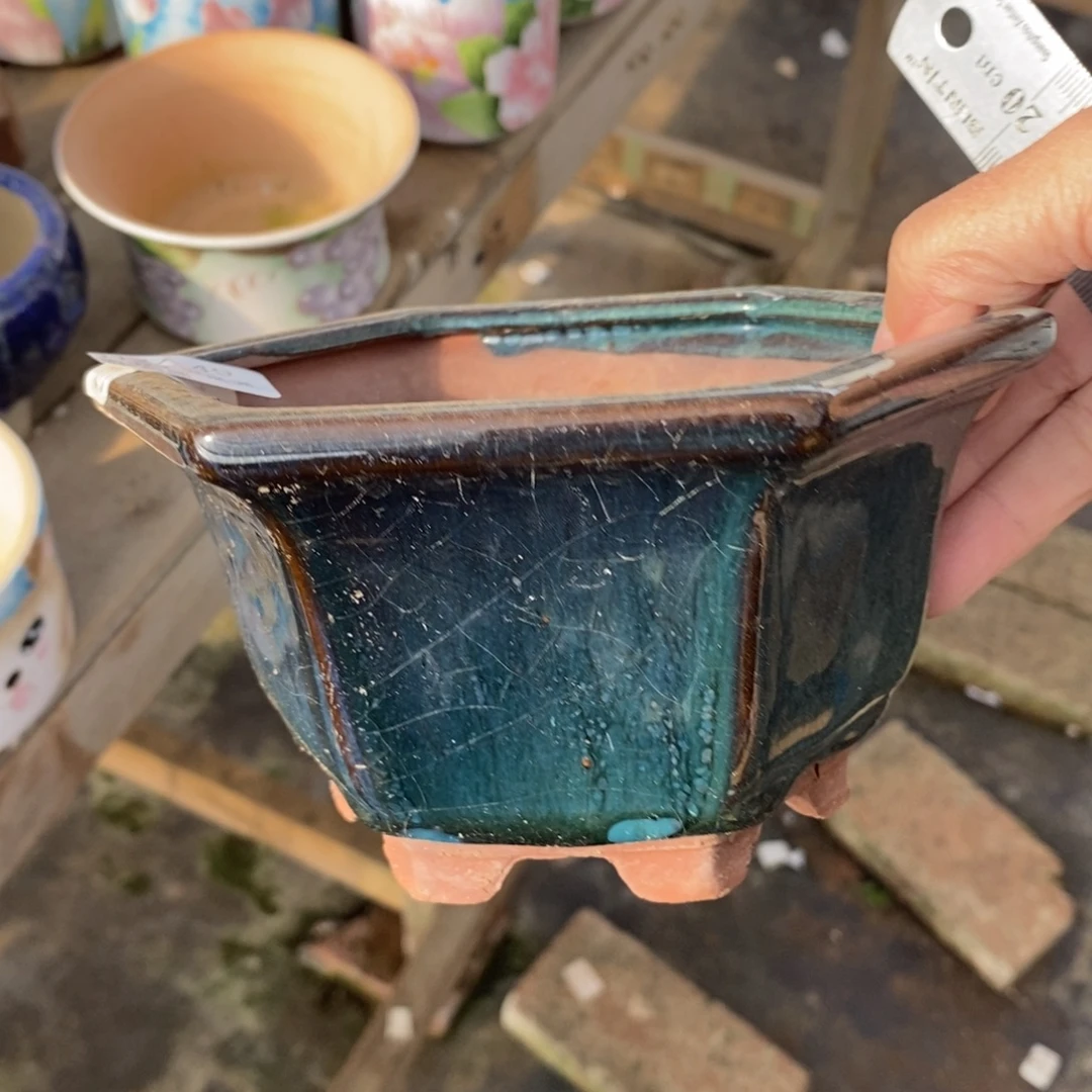 49号多肉盆口径13