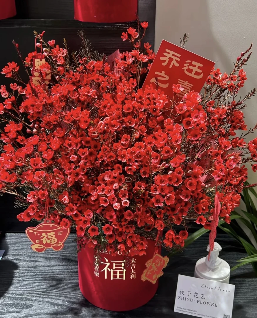 【年宵花】腊梅 是一款可以养很久的年宵花