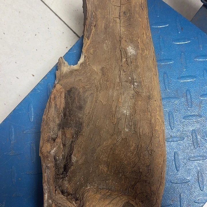 有机玻璃太行崖柏，黑油熏香。