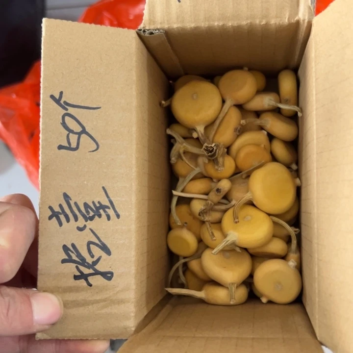 拾***壹葫芦文玩摆件制品