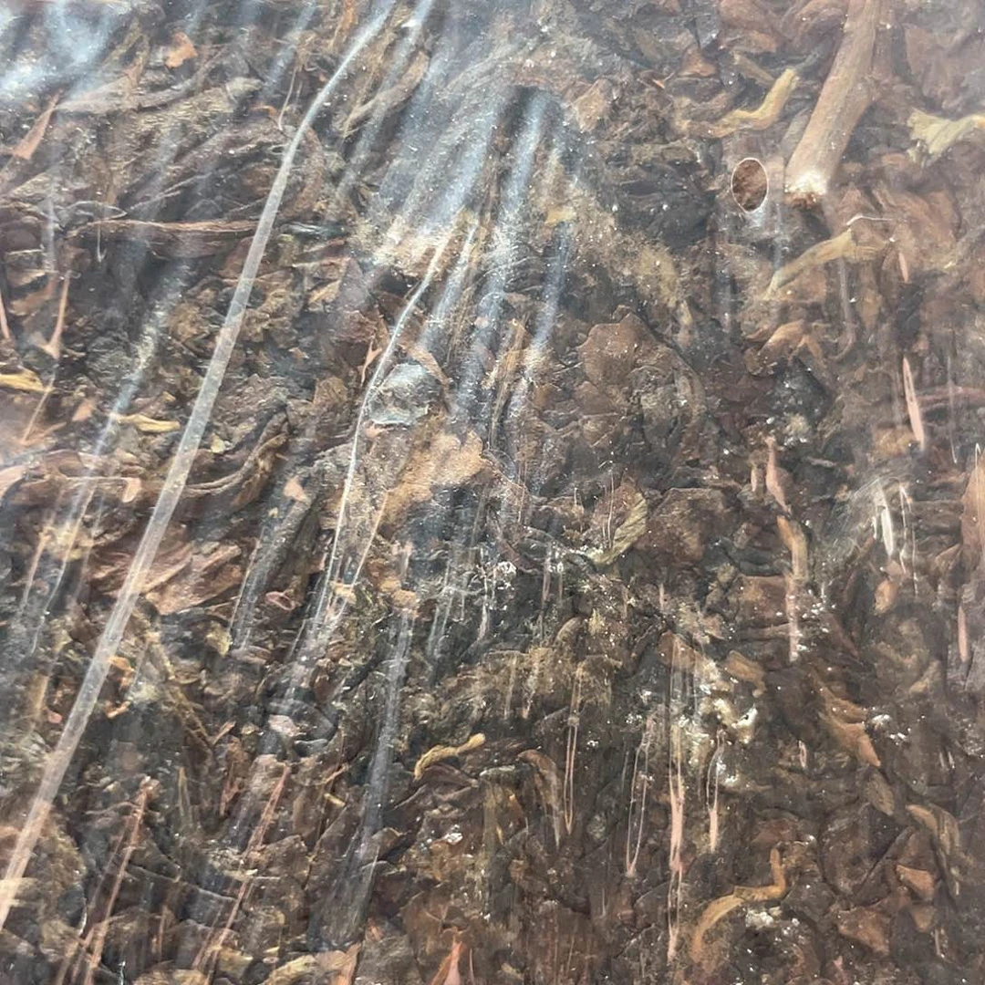 瓷片禅**味333哈哈哈哈哈哈哈哈