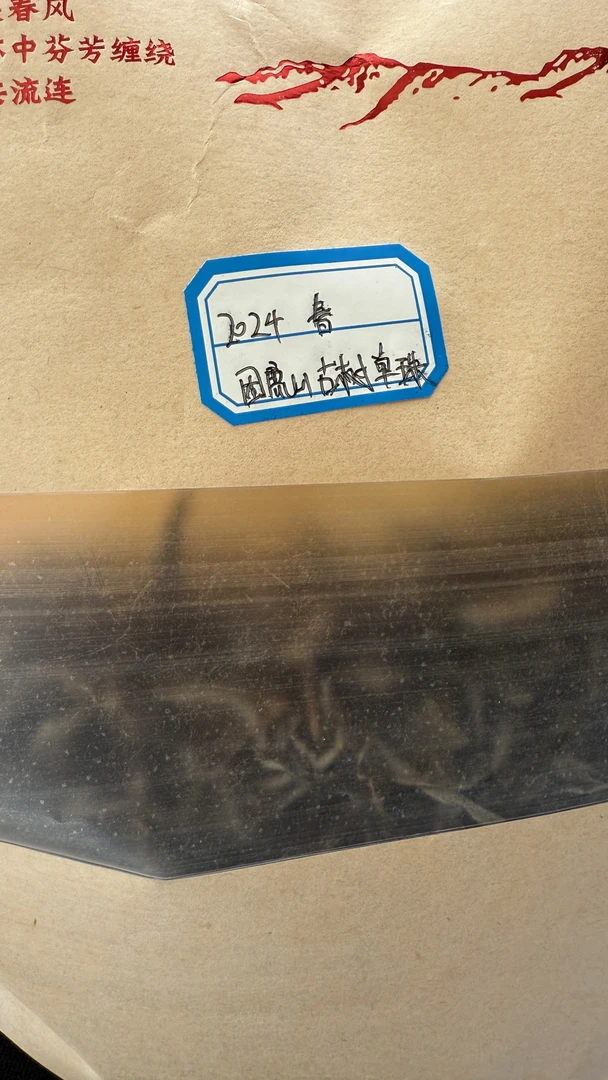 2024年困鹿山单株古树普洱茶