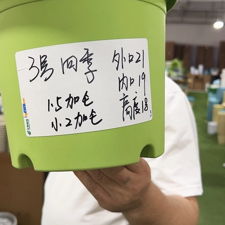 特价3号四季口21高18混色10个无托
