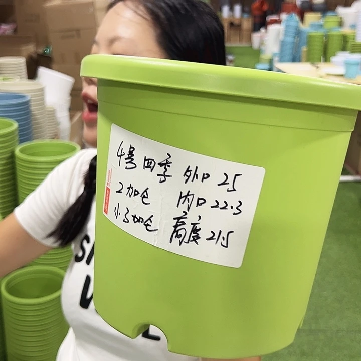 特价4号四季口25高21.5果绿8只无托