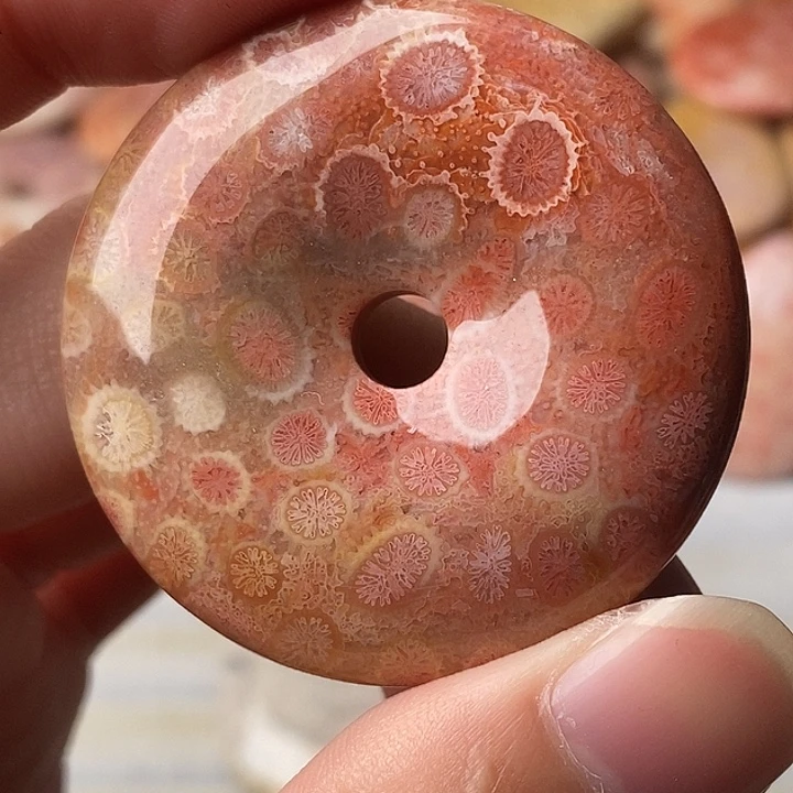 *****硅化珊瑚未镶嵌颈饰