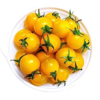 ㊽ • 橙黄番茄  310g番茄广东省茂名市