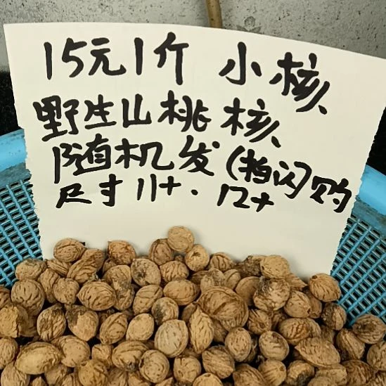 桃核吊坠野生山桃核小核15元一斤随机发