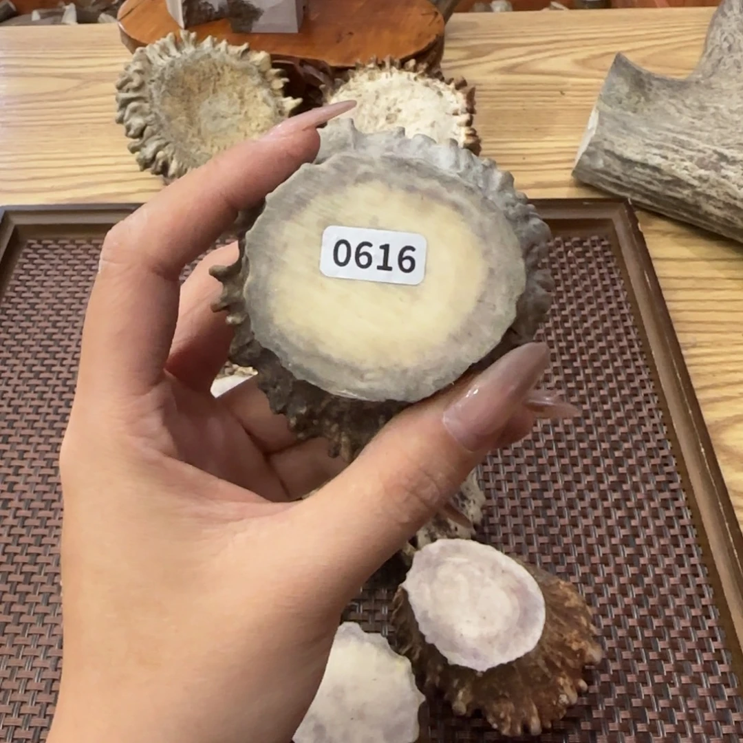 其他鹿骨0616角帽