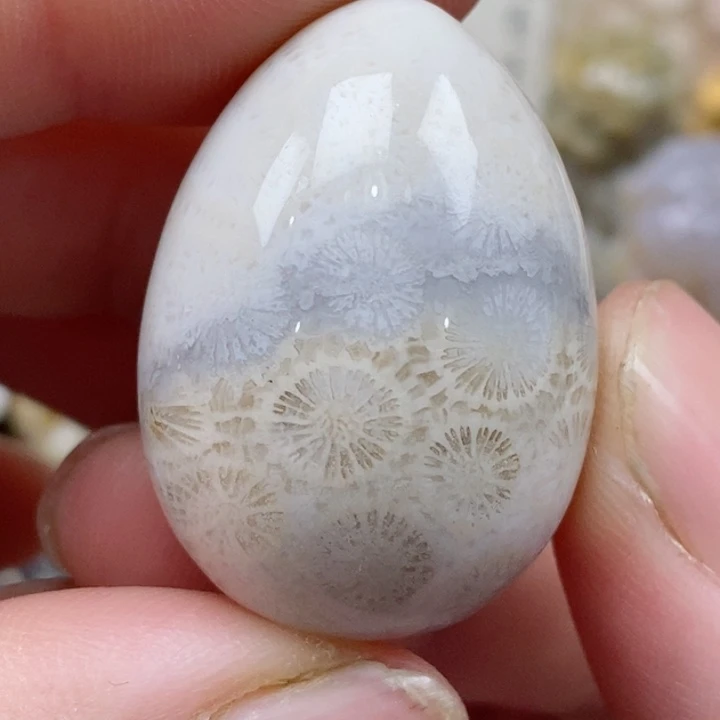 颈饰未镶嵌硅化珊瑚（珊瑚玉）