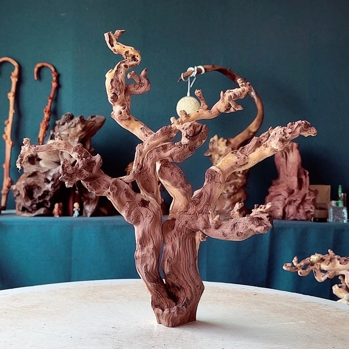 黑果木君****》689金丝红木羊蹄甲半成品