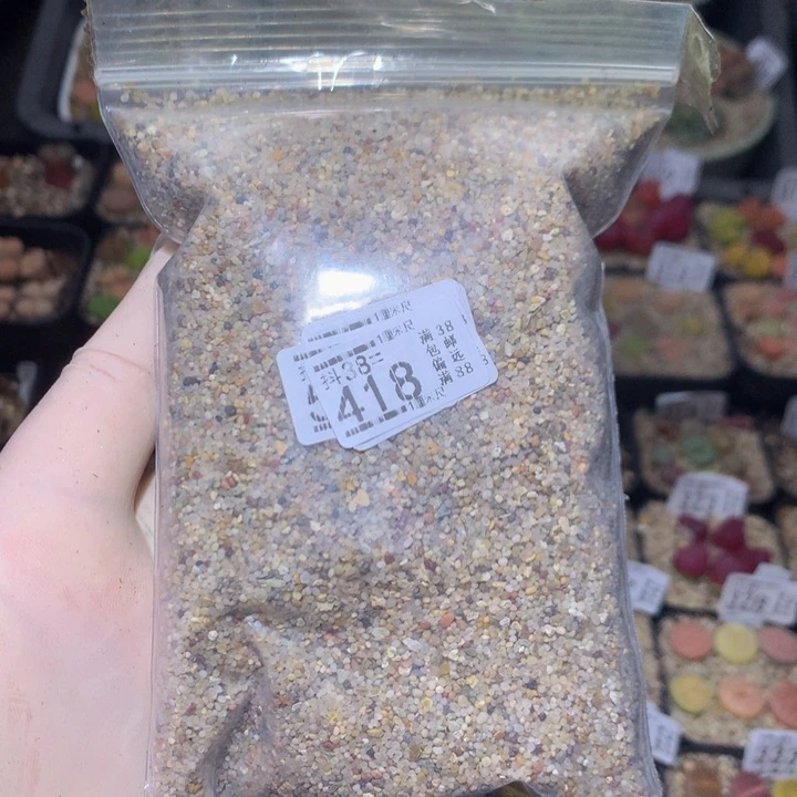 精品生石花38.418