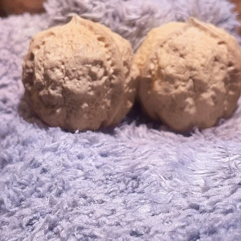 把件文玩核桃蝴蝶蟾三棱37带彩