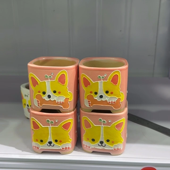 红陶田小姐多肉花盆