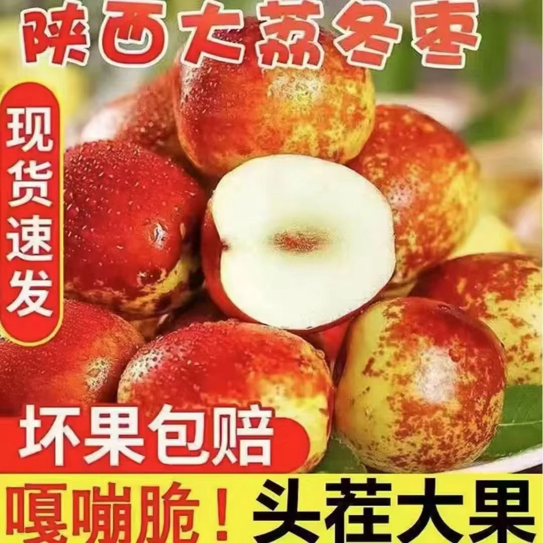 正宗大荔陕西冬枣新鲜脆甜新鲜水果现摘枣子鲜枣特大当季整箱大枣