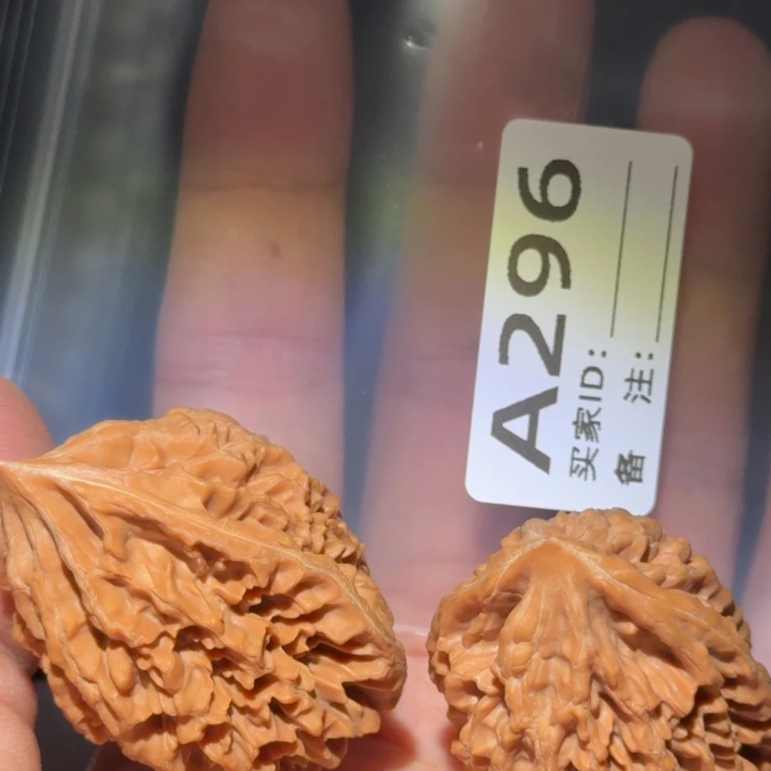 吊坠文玩核桃招财树296