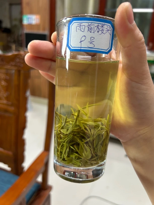 2025年新茶信阳毛尖雨前楼头醇厚浓郁回甘久