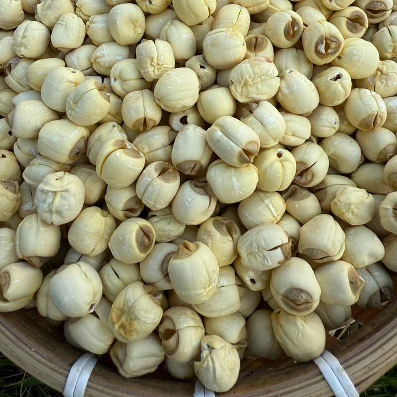 【2025年新货】去心手工白莲广昌白莲正宗原色无硫莲子江西特产