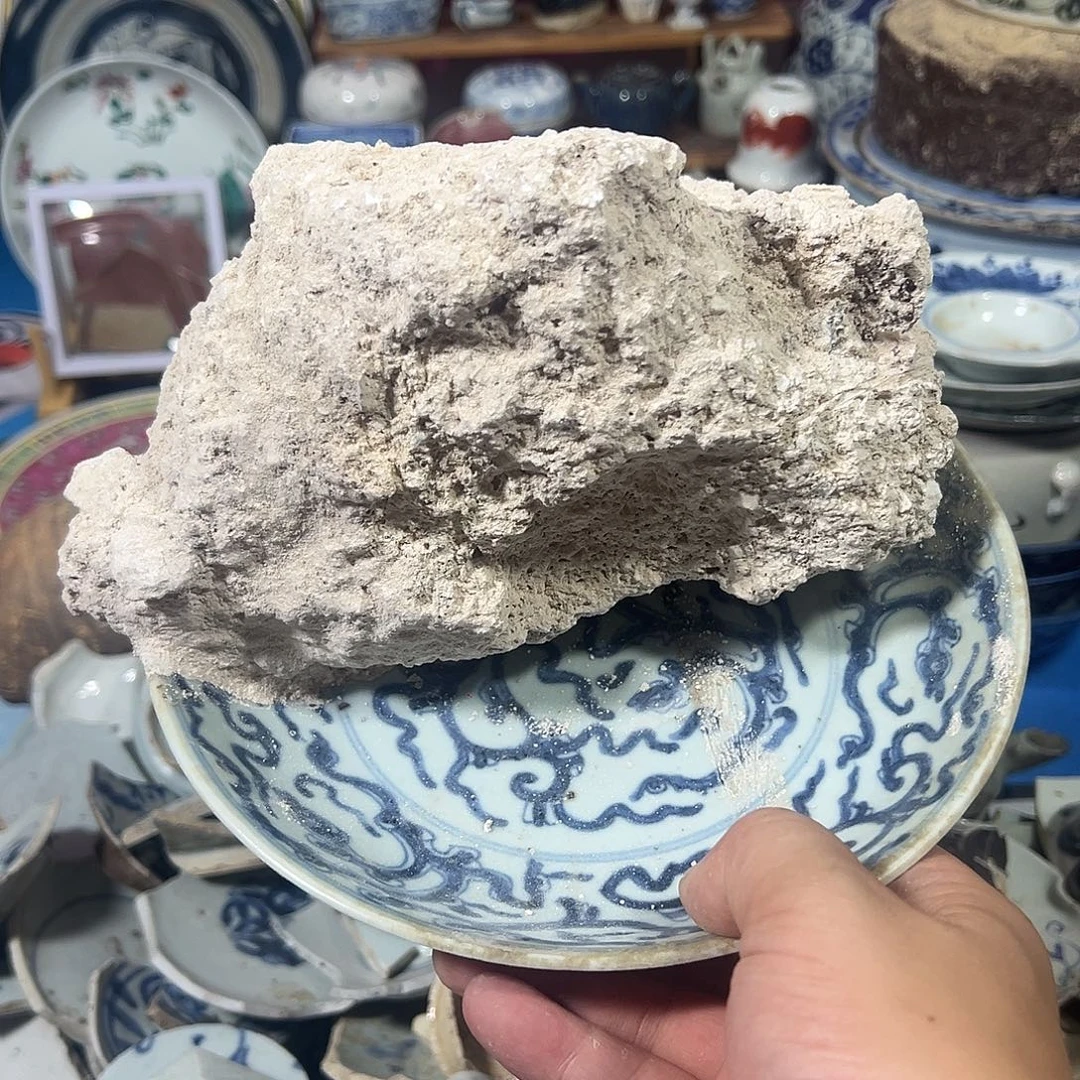 阿***泰瓷片瓷片标本，全场包邮