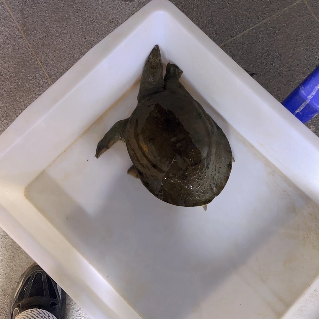 中国大陆12345544