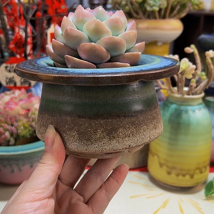 景德镇陶瓷2单包邮