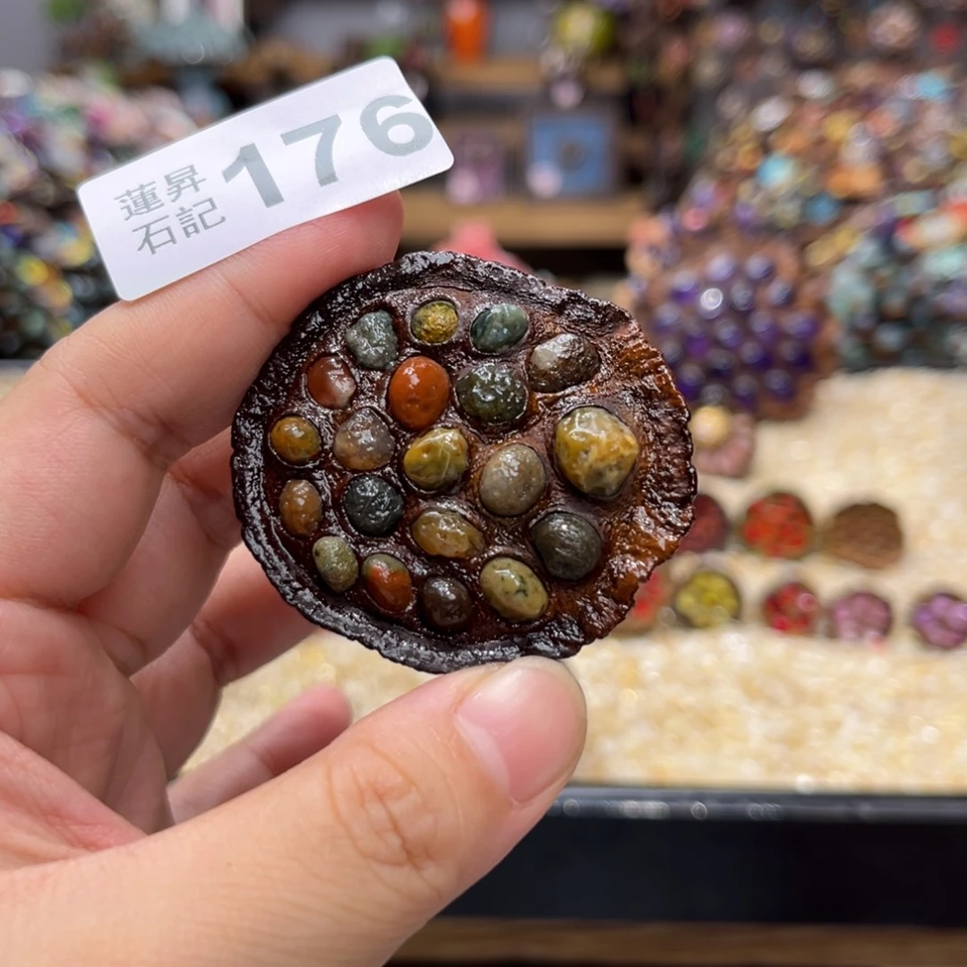 核桃木/黑胡桃（胡桃木）176