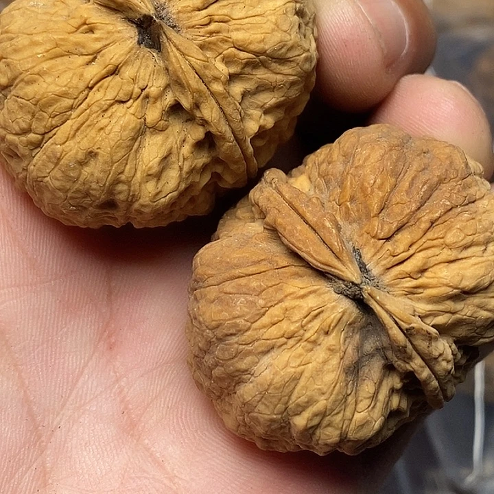 文玩核桃把件云南铁核桃69
