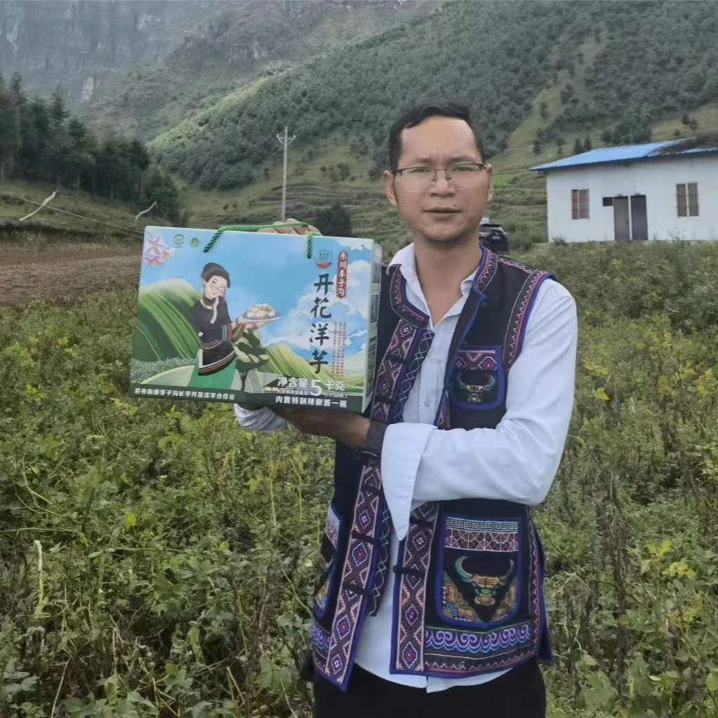 东川区李子沟开花洋芋礼盒装