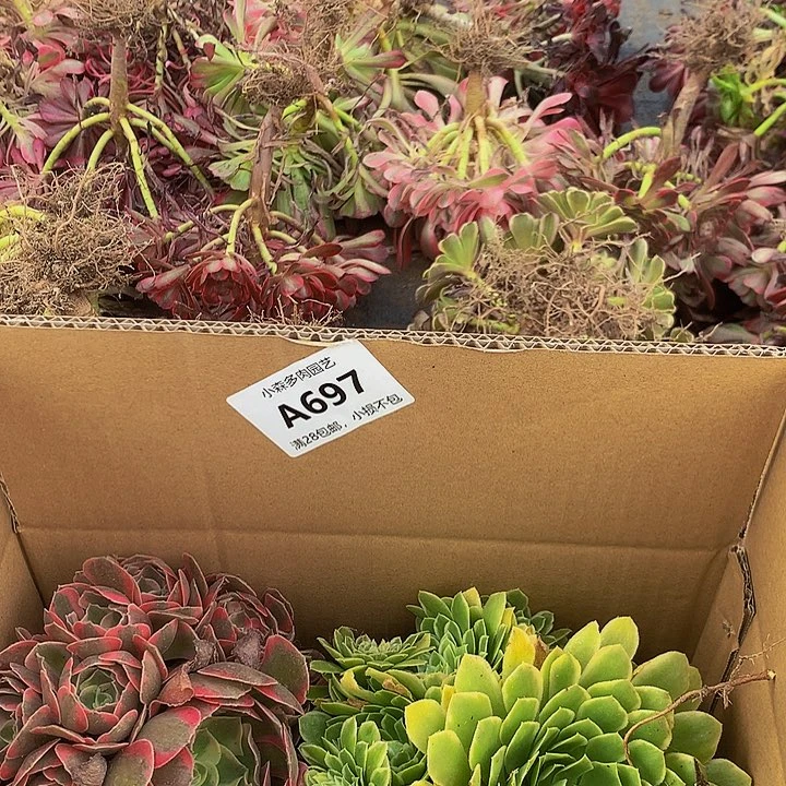 697，888888888888888