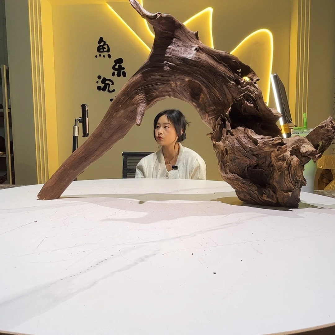 瓦当杨****5会黄黑红水637。78 24 53