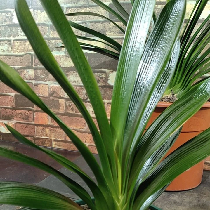 完全开放111111111