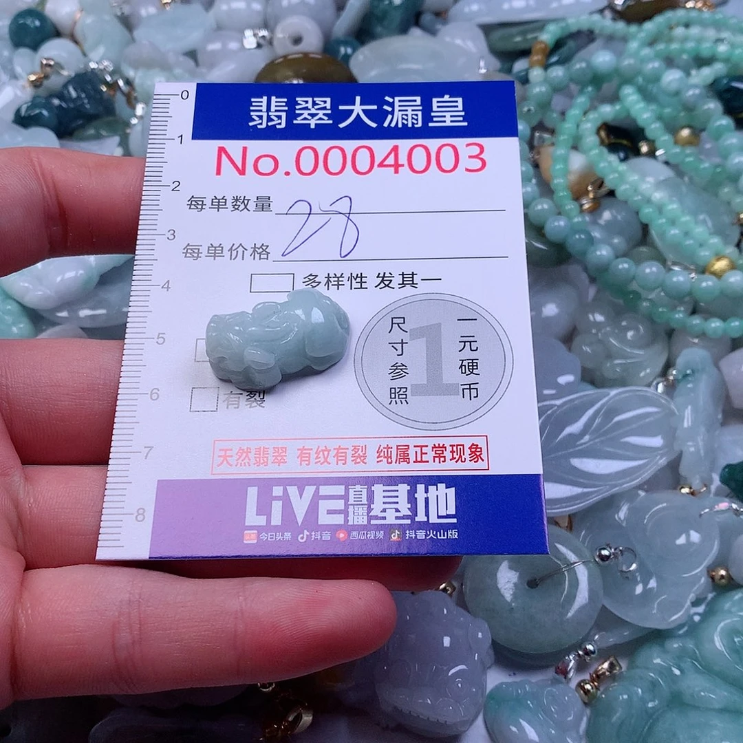 颈饰未镶嵌翡翠4003