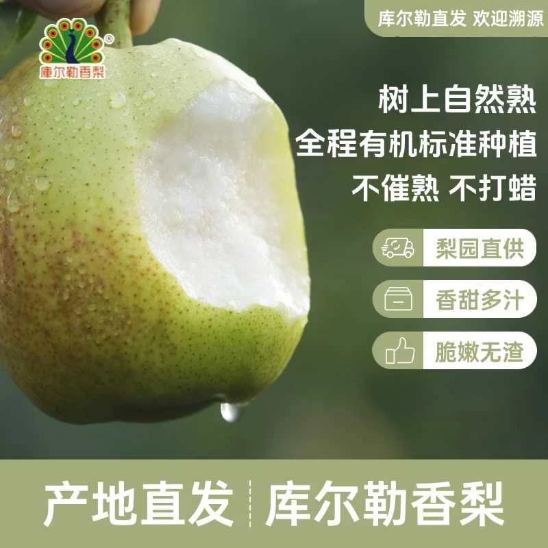新疆库尔勒轮台香梨皮薄肉多爽口当季水果
