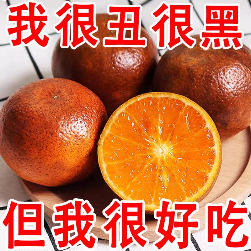 广西甜蜜乌柑乌柑黑皮沃柑新鲜水果柑橘橙子大果丑柑橘脏脏柑橘