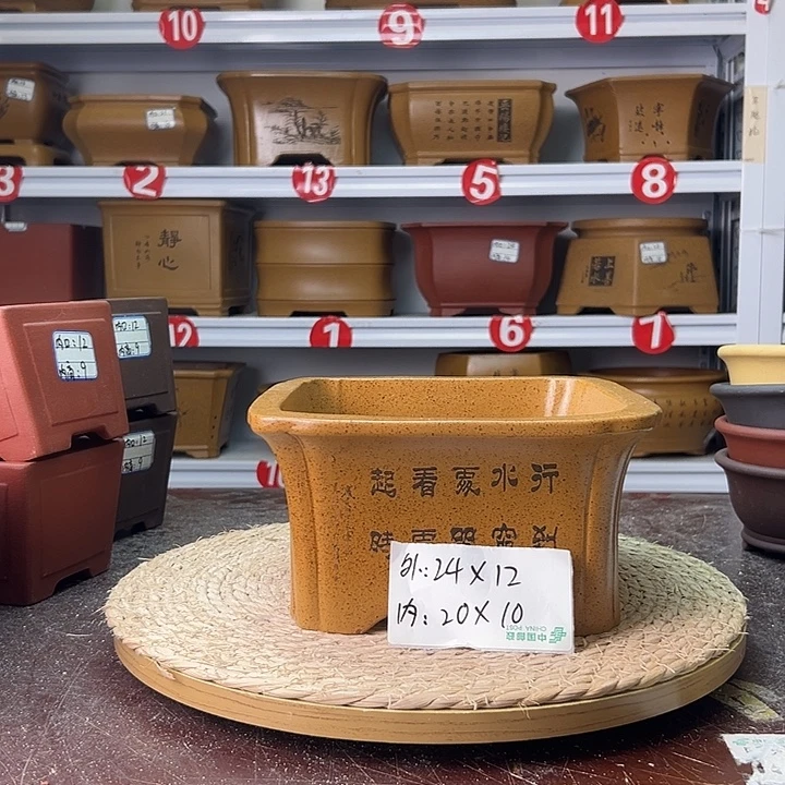 紫砂花盆蛇年大吉