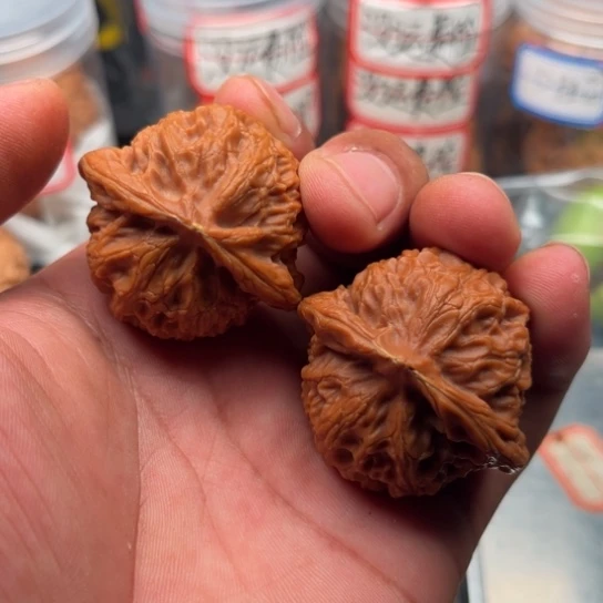 甲***子把件文玩核桃宫灯43