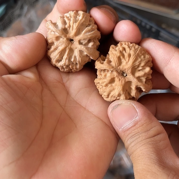 土**哥40尺寸苹果园全品
