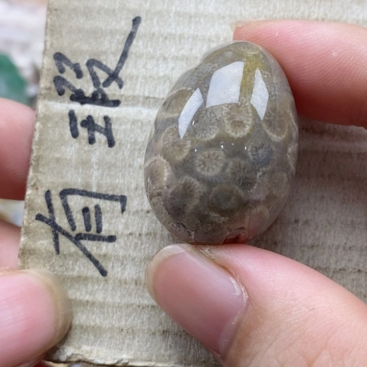 硅化珊瑚（珊瑚玉）未镶嵌颈饰用****5