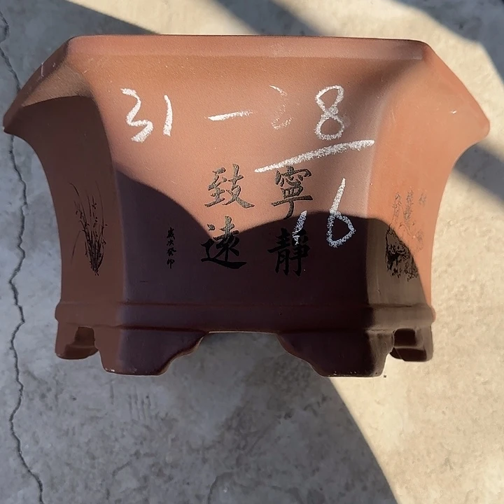 花盆紫砂这是什么